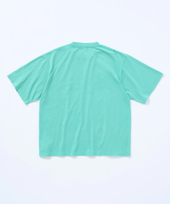 Griffin Hartland(グリフィンハートランド) |GARMENT DYED SOUVENIER T SHIRT