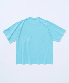 Griffin Hartland(グリフィンハートランド) |GARMENT DYED SOUVENIER T SHIRT